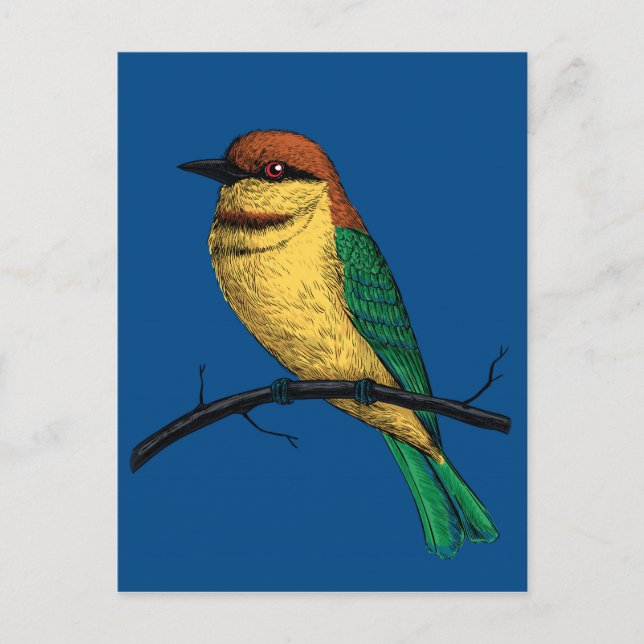 Postal Bee eater (Anverso)