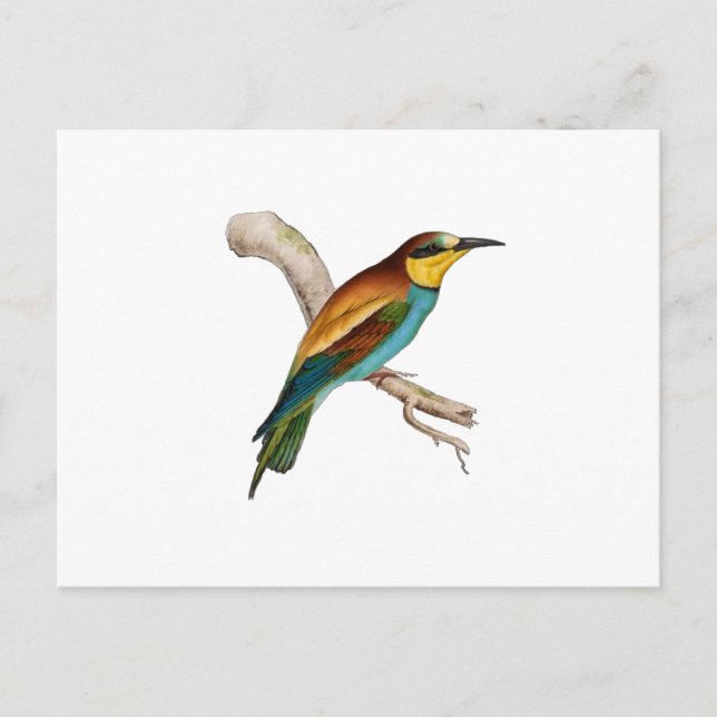 Postal Bee Eater (Anverso)
