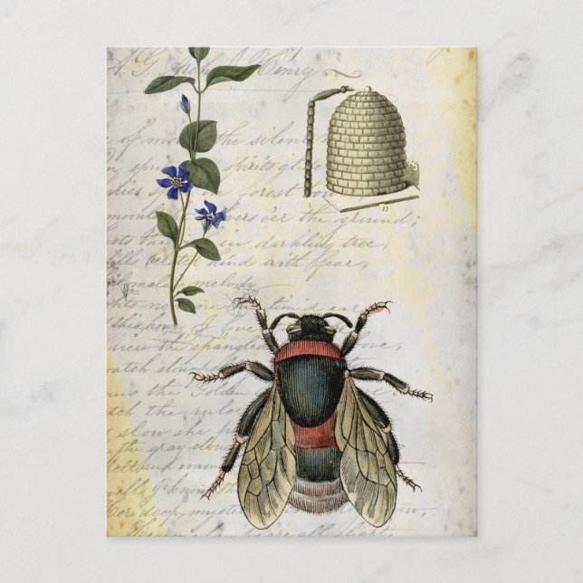 Postal Bee Flower Hive (Anverso)