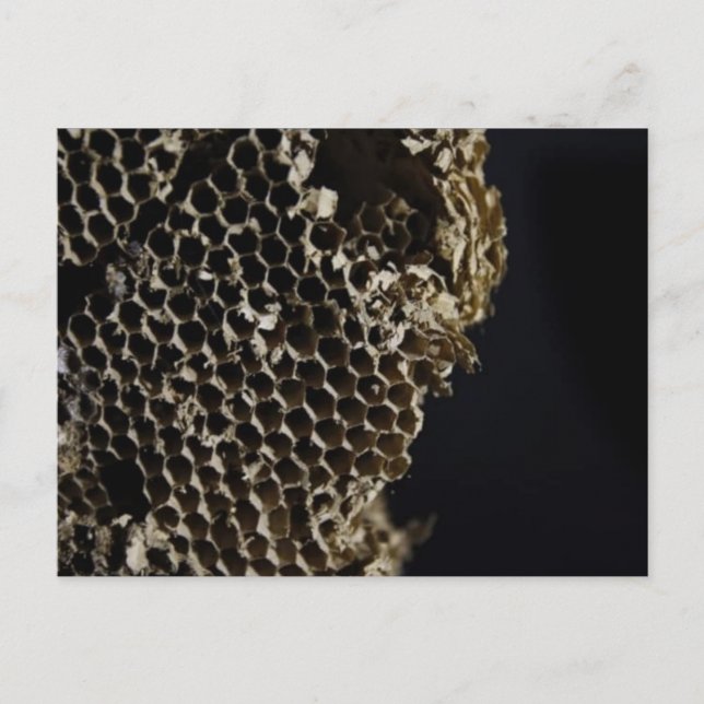 Postal Bee Hive (Anverso)