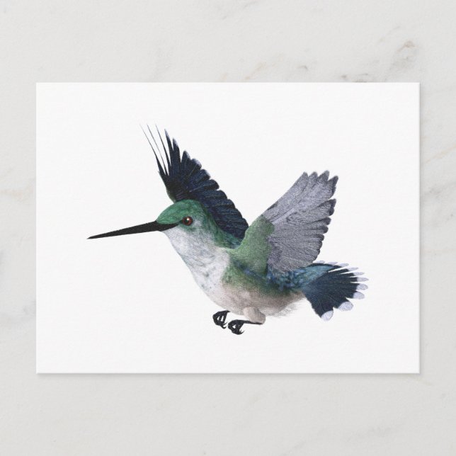 Postal Bee Hummingbird (Anverso)
