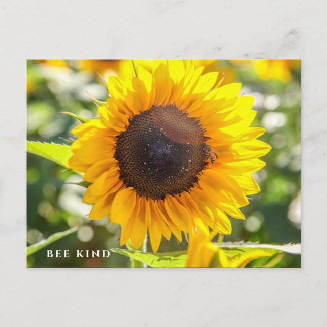 Postal Bee Kind | Girasol (Anverso)