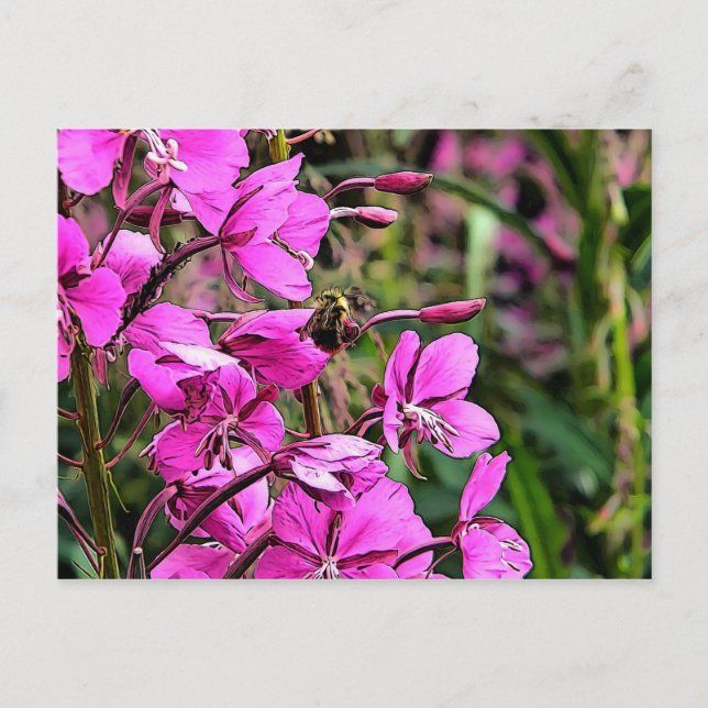 Postal Bee Nice (Anverso)