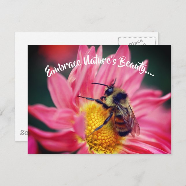 Postal Bee On Daisy Abraza A La Naturaleza Inspiradora  (Anverso / Reverso)