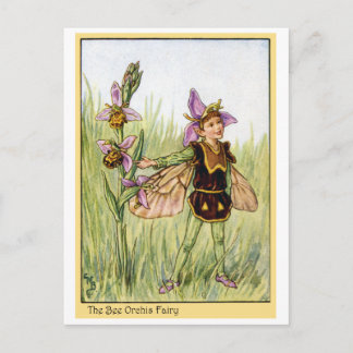 Postal Bee Orchis Fairy