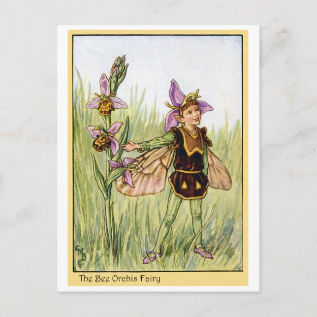 Postal Bee Orchis Fairy (Anverso)