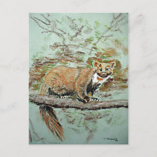 Postal Beech marten