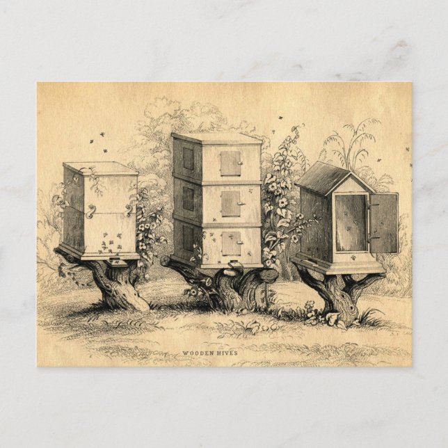 Postal Beehives Beehive (Anverso)