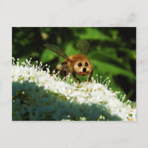Postal Beeog