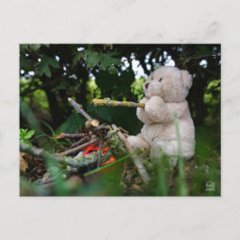 Postal Beertje dat bij kampvuur zit.