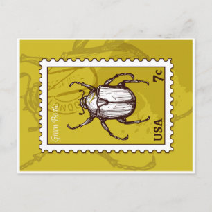Postal Beetle