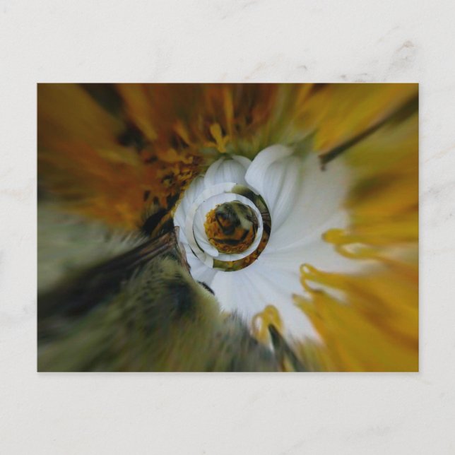 Postal Beez de Swirled (Anverso)