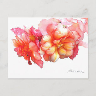 Postal Begonia Tubería Nº 1