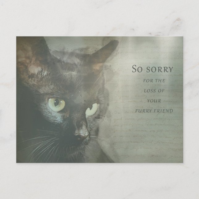 Postal Beileidskarte Katze - Schwarz - Sympathy Card (Anverso)