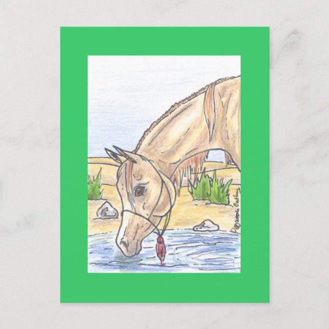 Postal "Bejh bint Ahwa" (Anverso)