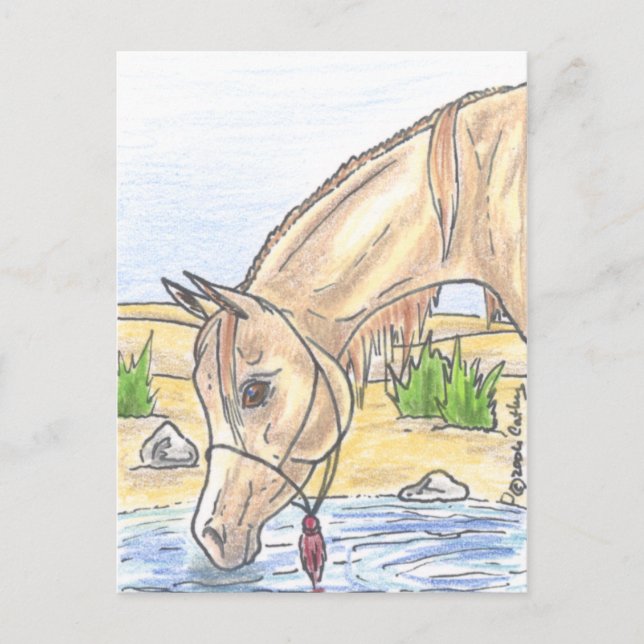 Postal "Bejh bint Ahwa"  (Anverso)