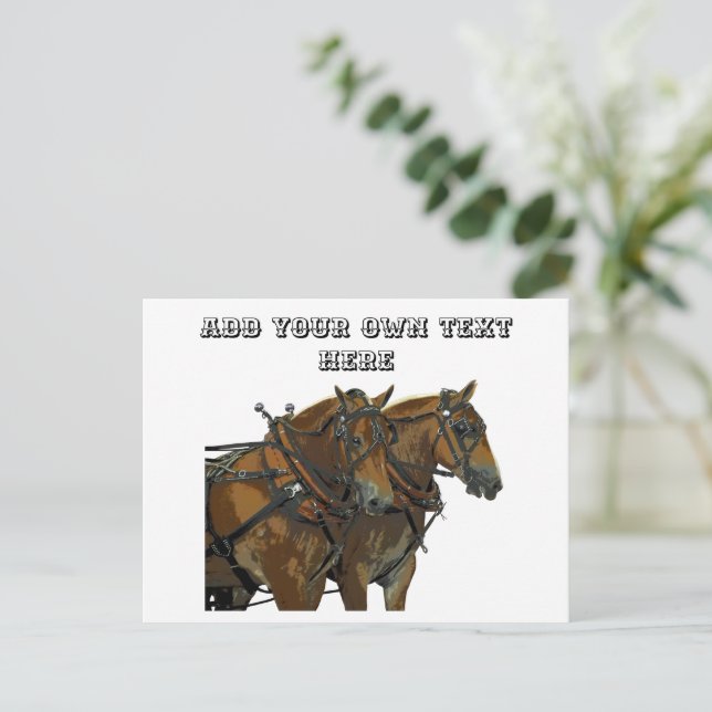 Postal Belgian Horse Team All Purpose Postcard (Anverso de pie)