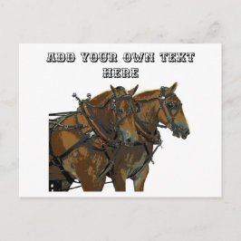 Postal Belgian Horse Team All Purpose Postcard