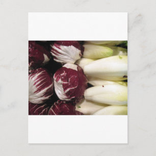 Postal Bélgica Endigo