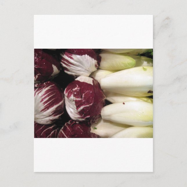 Postal Bélgica Endigo (Anverso)