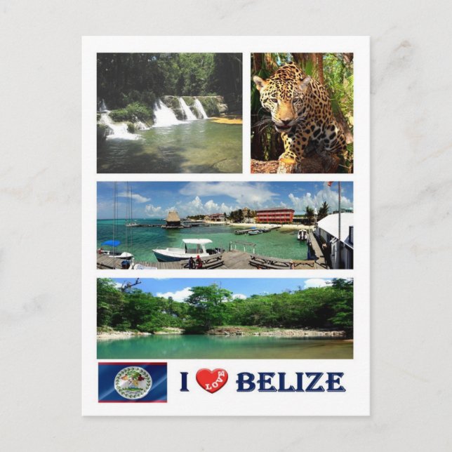 Postal Belice - Amo - (Anverso)