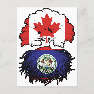 Postal Belice Belice Belice Canadá Árbol de Canadá bander