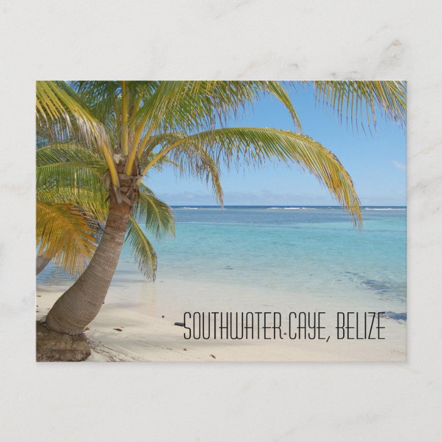 Postal Belice Palm Trees y el paisaje del mar Caribe (Anverso)