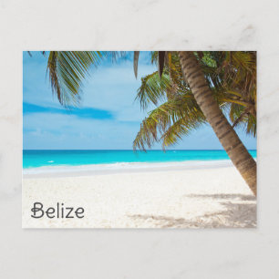 Postal Belice Tropical Beach Palm Tree Ambergris Caye