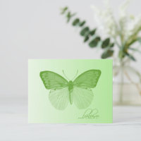 Believe Butterfly Lime