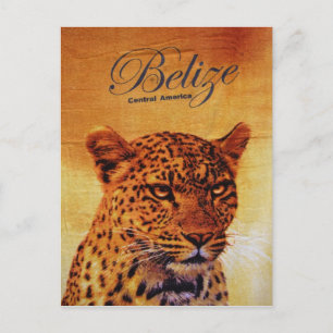 Postal Belize Jaguar