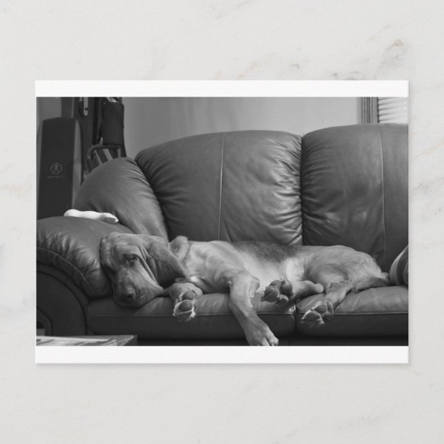 Postal Bella (Anverso)