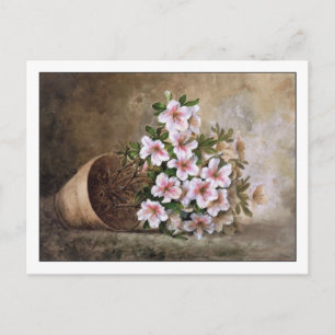 Postal Bella Artes de Azaleas Blancas y Paul de Longpre