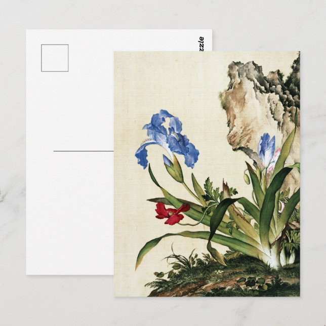 Postal Bella Artes de flor de amapola y mariposa (Anverso / Reverso)