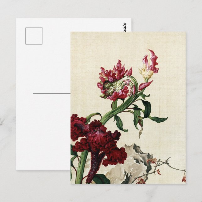 Postal Bella Artes de flores de peine de vaca (Anverso / Reverso)