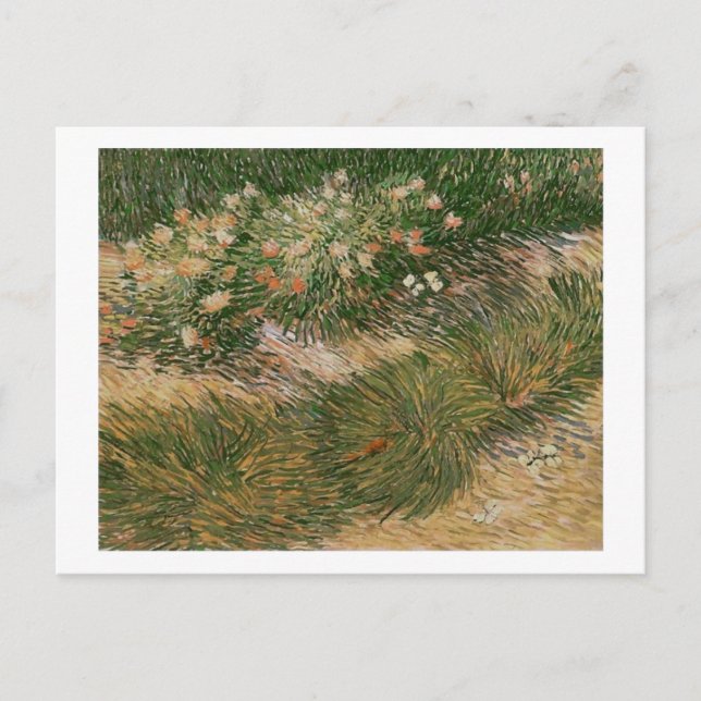 Postal Bella Artes de Grass & Butterflies (F460) Van Gogh (Anverso)