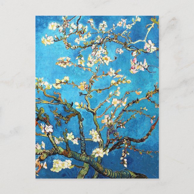 Postal Bella Artes de Van Gogh, un árbol de almendras bri (Anverso)