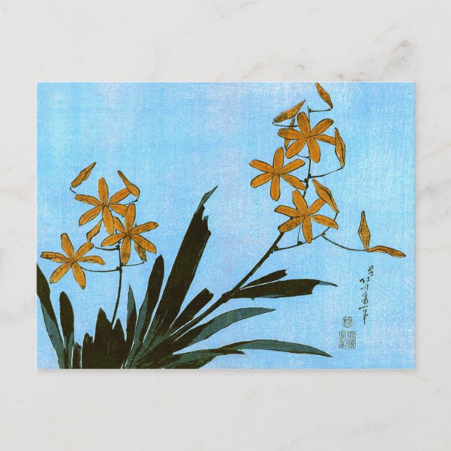 Postal Bella Artes japonés de Blackberry Lily Hokusai (Anverso)