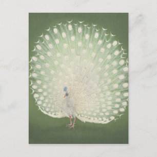 Postal Bella Artes japonés vintage   Peacock