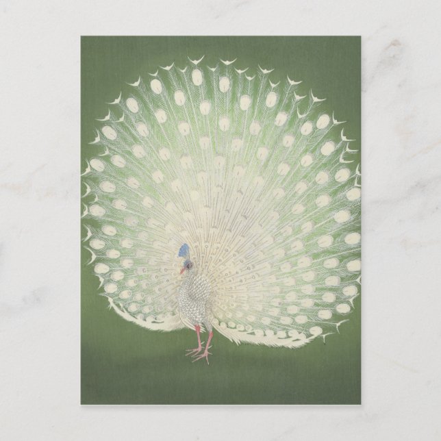 Postal Bella Artes japonés vintage | Peacock (Anverso)