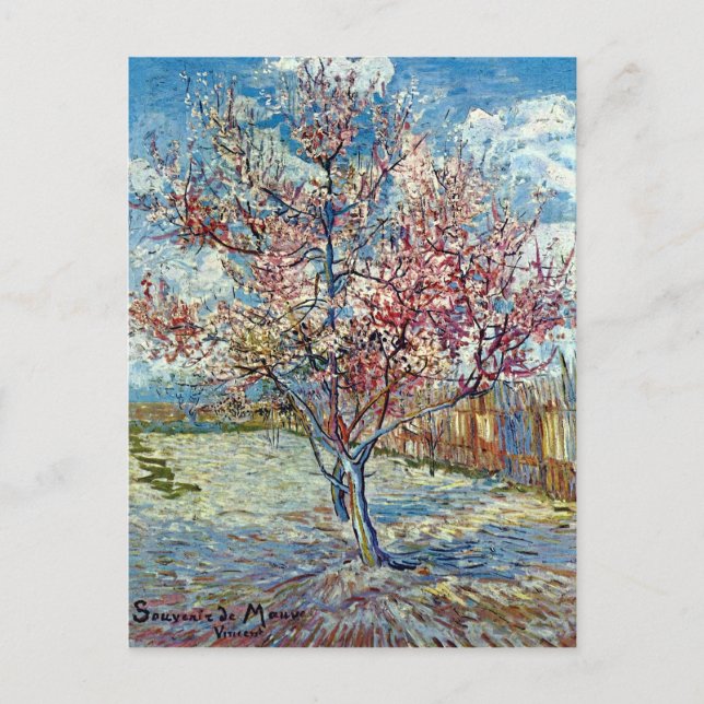 Postal Bella Artes Van Gogh de árbol rosado (Anverso)