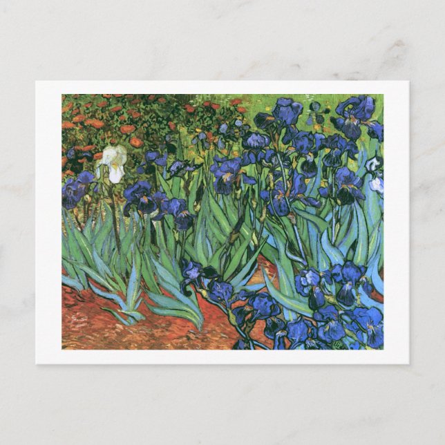 Postal Bella Artes Van Gogh de Irises (F608) (Anverso)