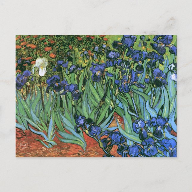 Postal Bella Artes Van Gogh de Irises (F608) (Anverso)