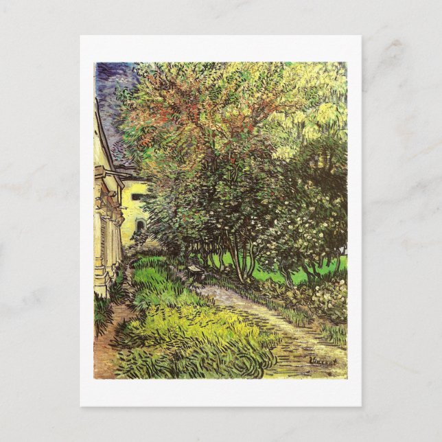 Postal Bella Artes Van Gogh Garden St Remy (Anverso)