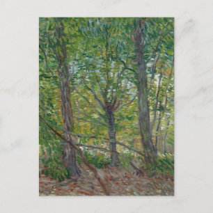 Postal Bella Artes Van Gogh Trees and Underwood(F307)