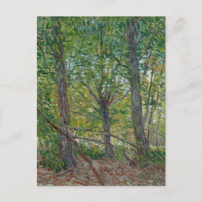 Postal Bella Artes Van Gogh Trees and Underwood(F307) (Anverso)