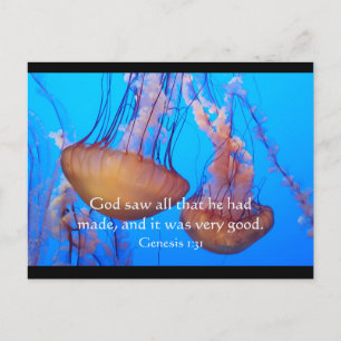 Postal Bella Biblia Jellyfish Verse Postcard