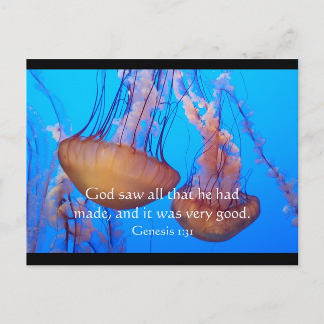 Postal Bella Biblia Jellyfish Verse Postcard (Anverso)