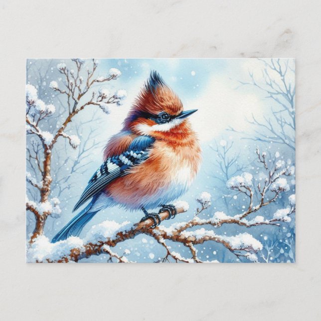 Postal Bella pintura blanca de pájaro (Anverso)