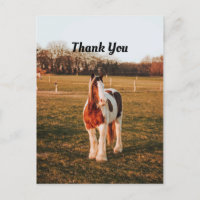 Bella pintura marrón Borrador de foto de caballo G