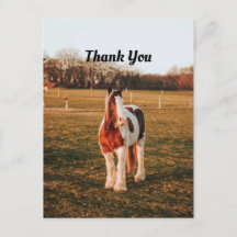 Bella pintura marrón Borrador de foto de caballo G